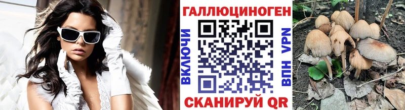 Галлюциногенные грибы мицелий  продажа наркотиков  Красный Сулин 
